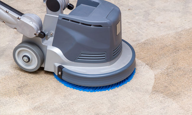 Carpet Cleaning