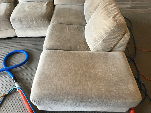 Upholstery Cleaning Services